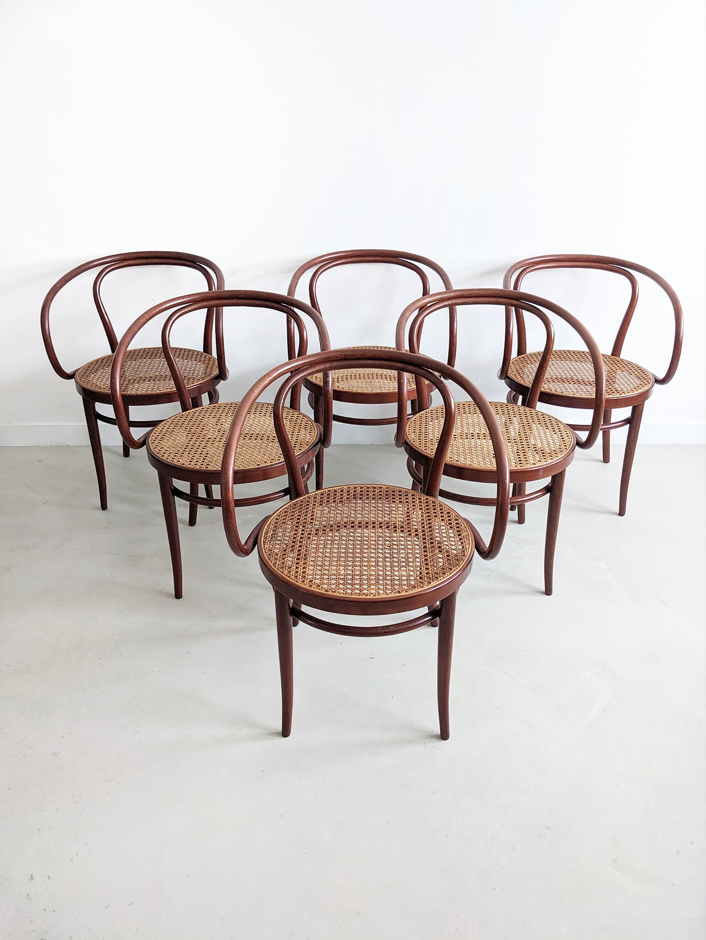 Set of 6 'no. 209' Dining Chairs  by Thonet 1980's