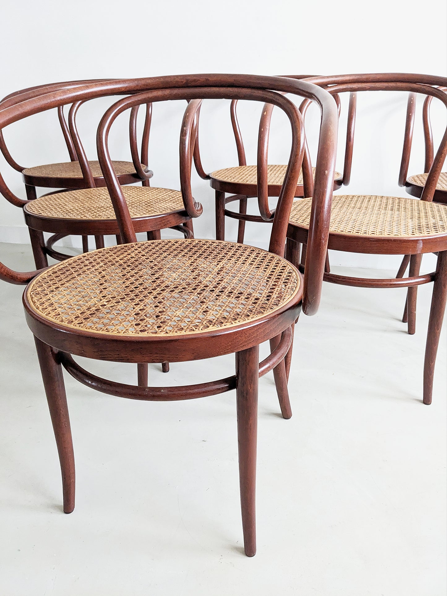 Set of 6 'no. 209' Dining Chairs  by Thonet 1980's