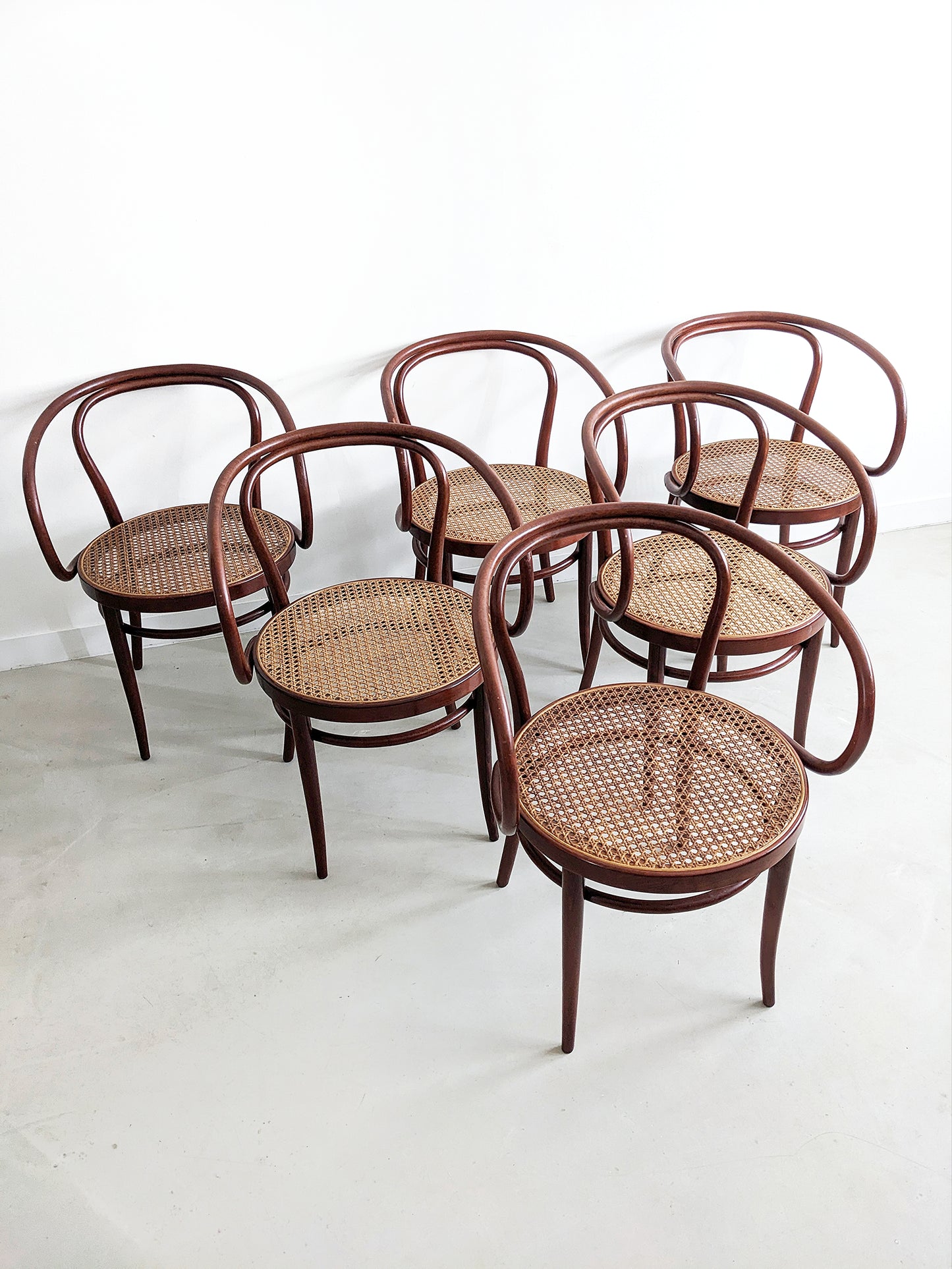 Set of 6 'no. 209' Dining Chairs  by Thonet 1980's