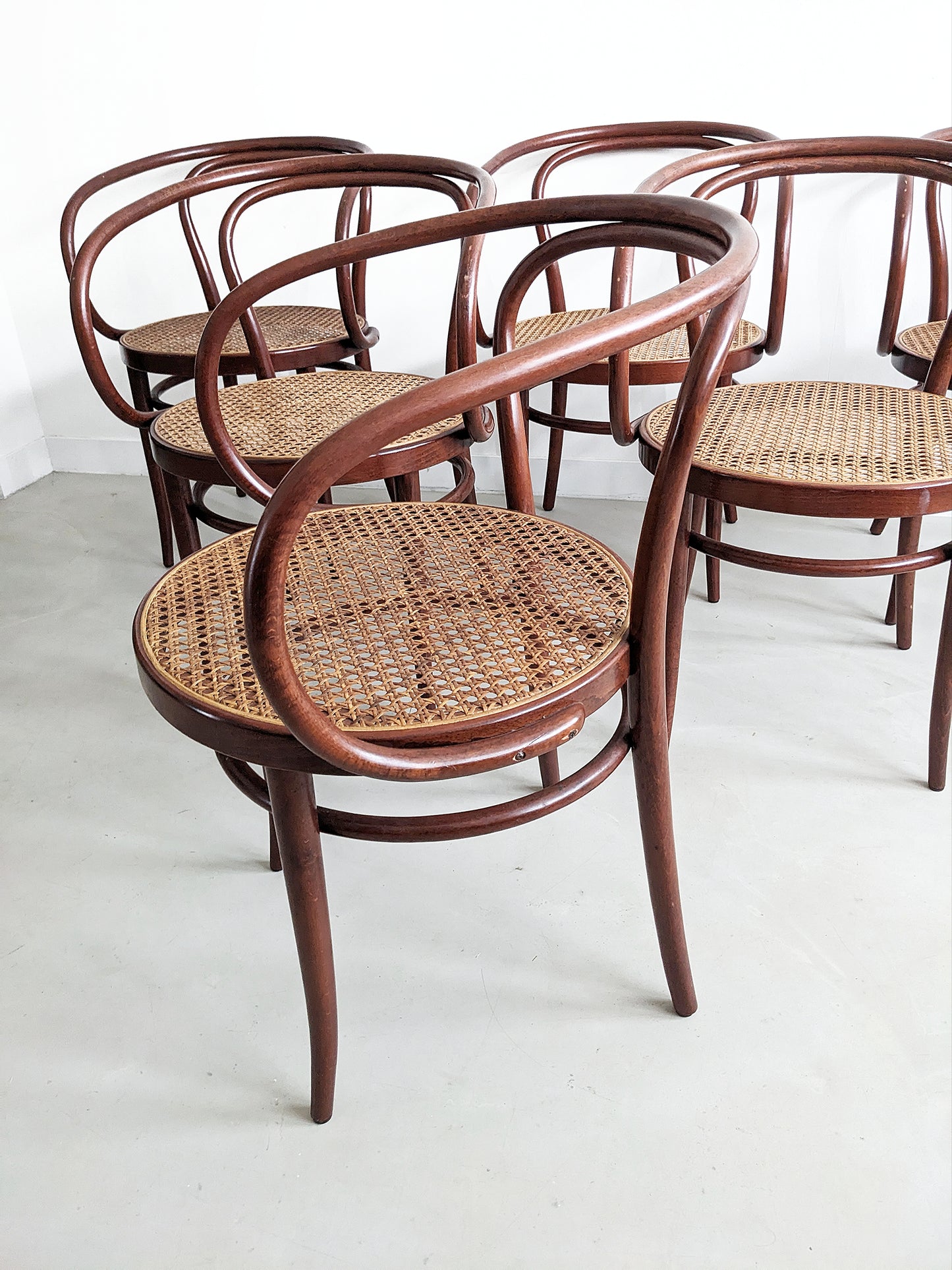 Set of 6 'no. 209' Dining Chairs  by Thonet 1980's